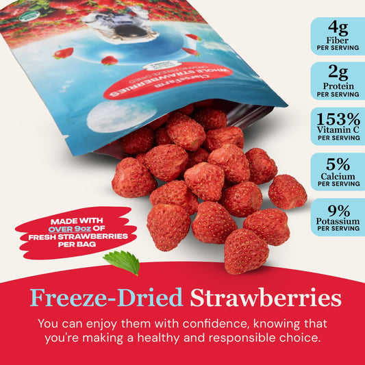 Freeze Dried Fruit Snacks – Organic No Sugar Added