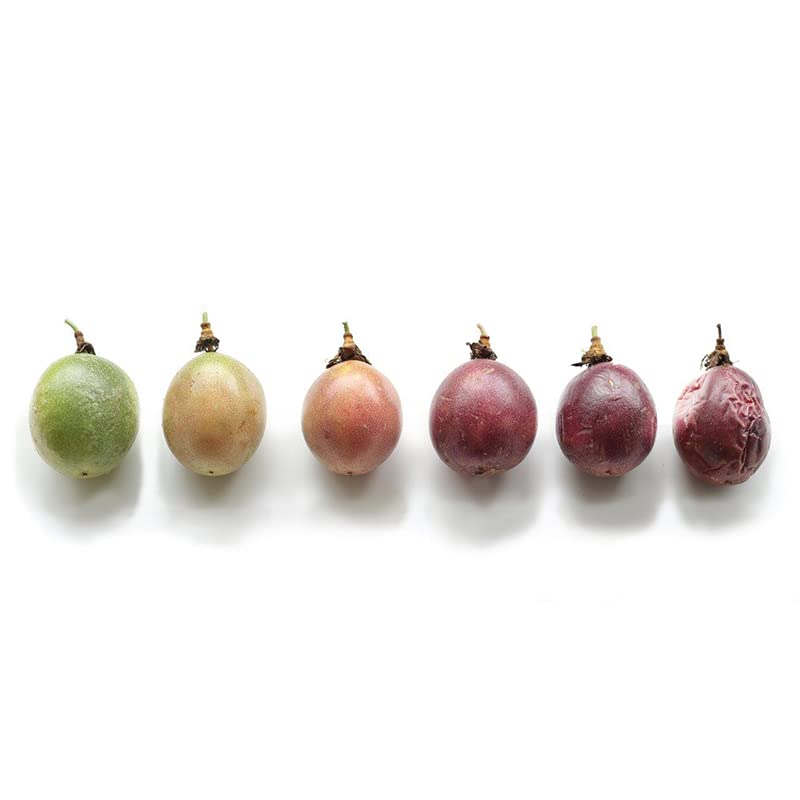 Dried Passion Fruit Rounds – Tropical Fruit Snack