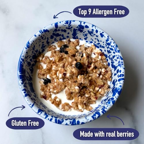 Strawberry Shortcake Granola – Plant Based Snack