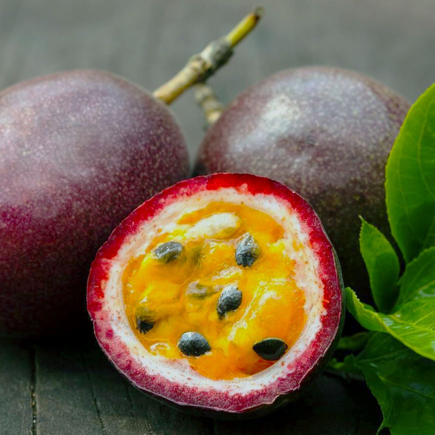 Dried Passion Fruit Rounds – Tropical Fruit Snack