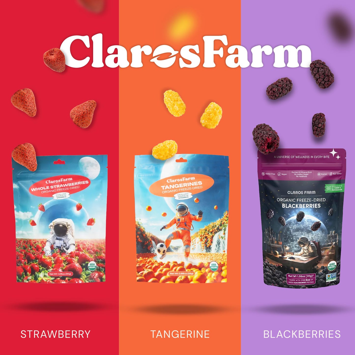 Freeze Dried Fruit Snacks – Organic No Sugar Added