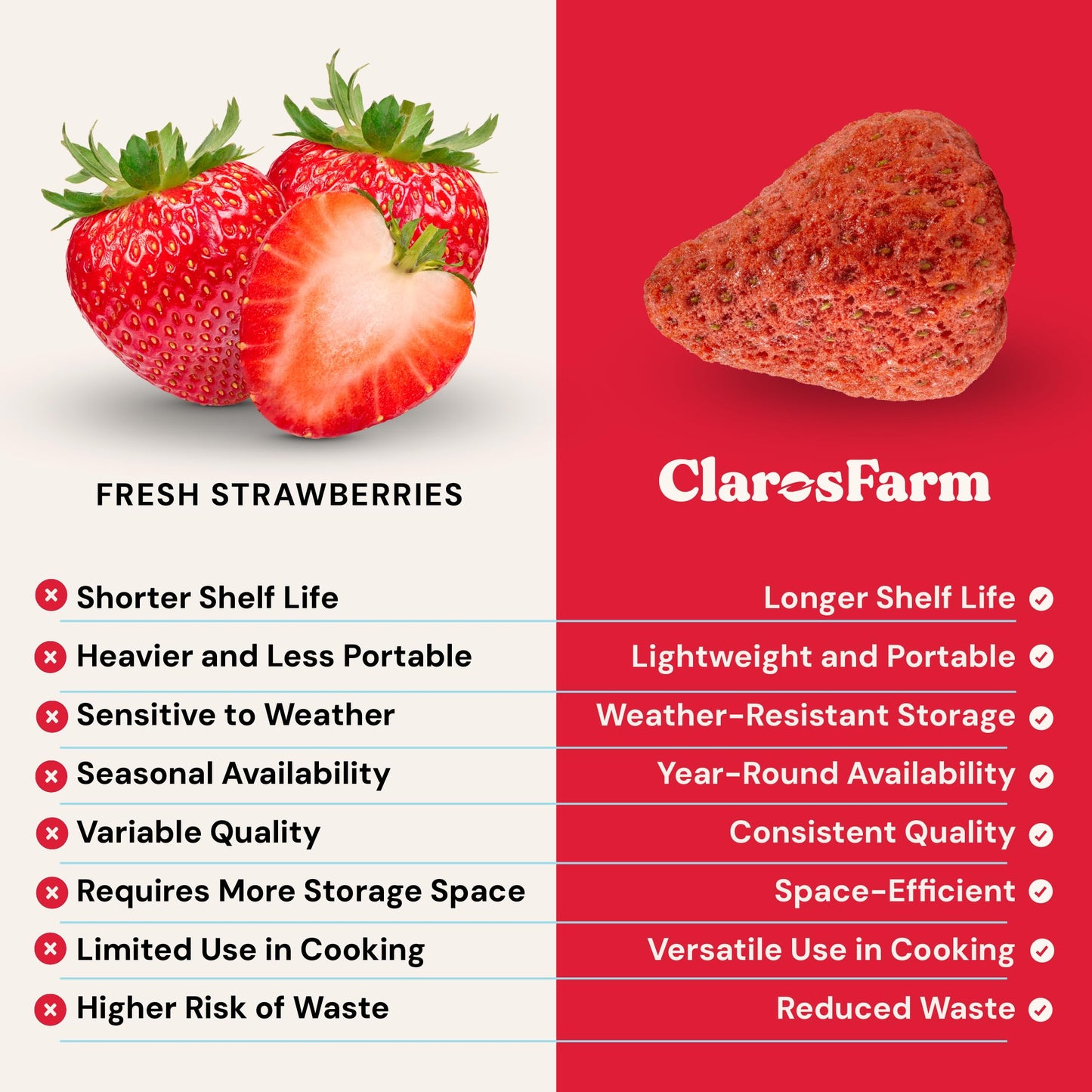 Freeze Dried Fruit Snacks – Organic No Sugar Added