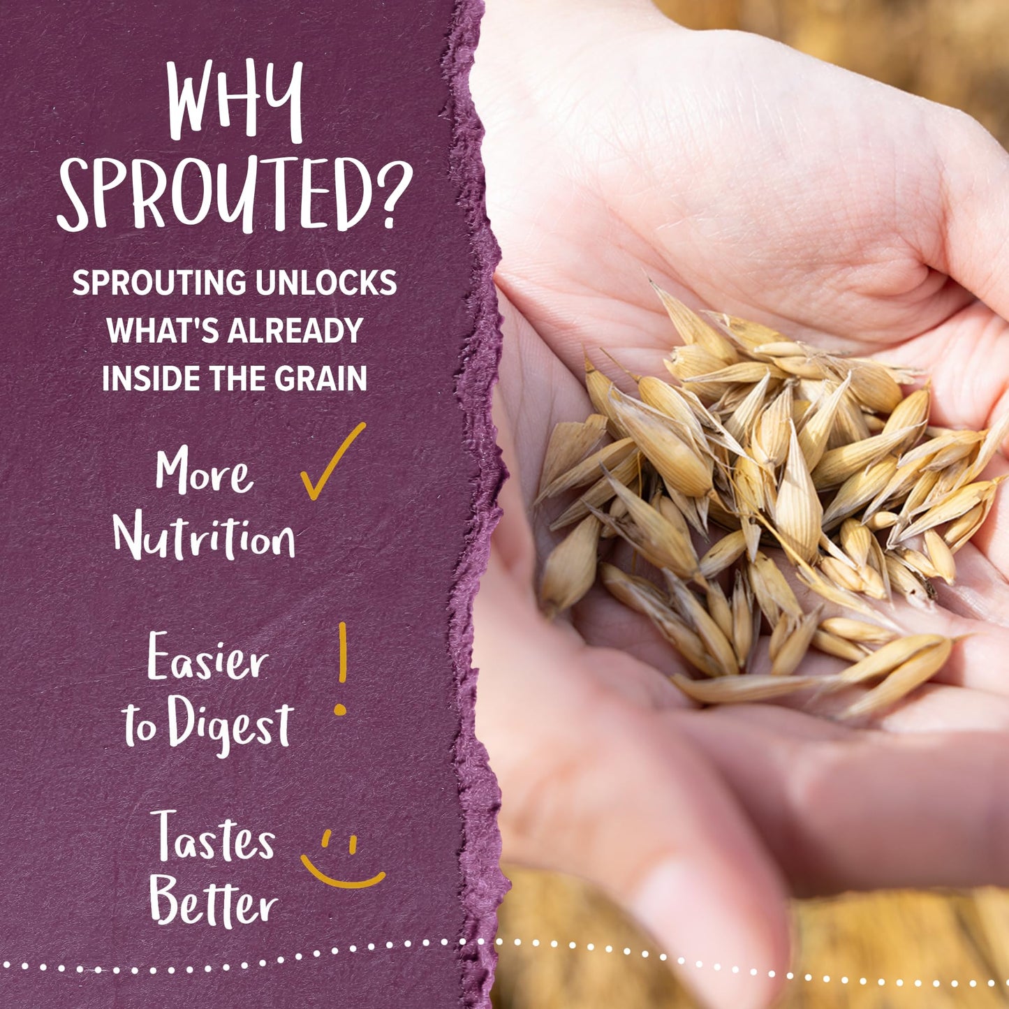 Sprouted Oat Granola – Organic Gluten Free Cereal