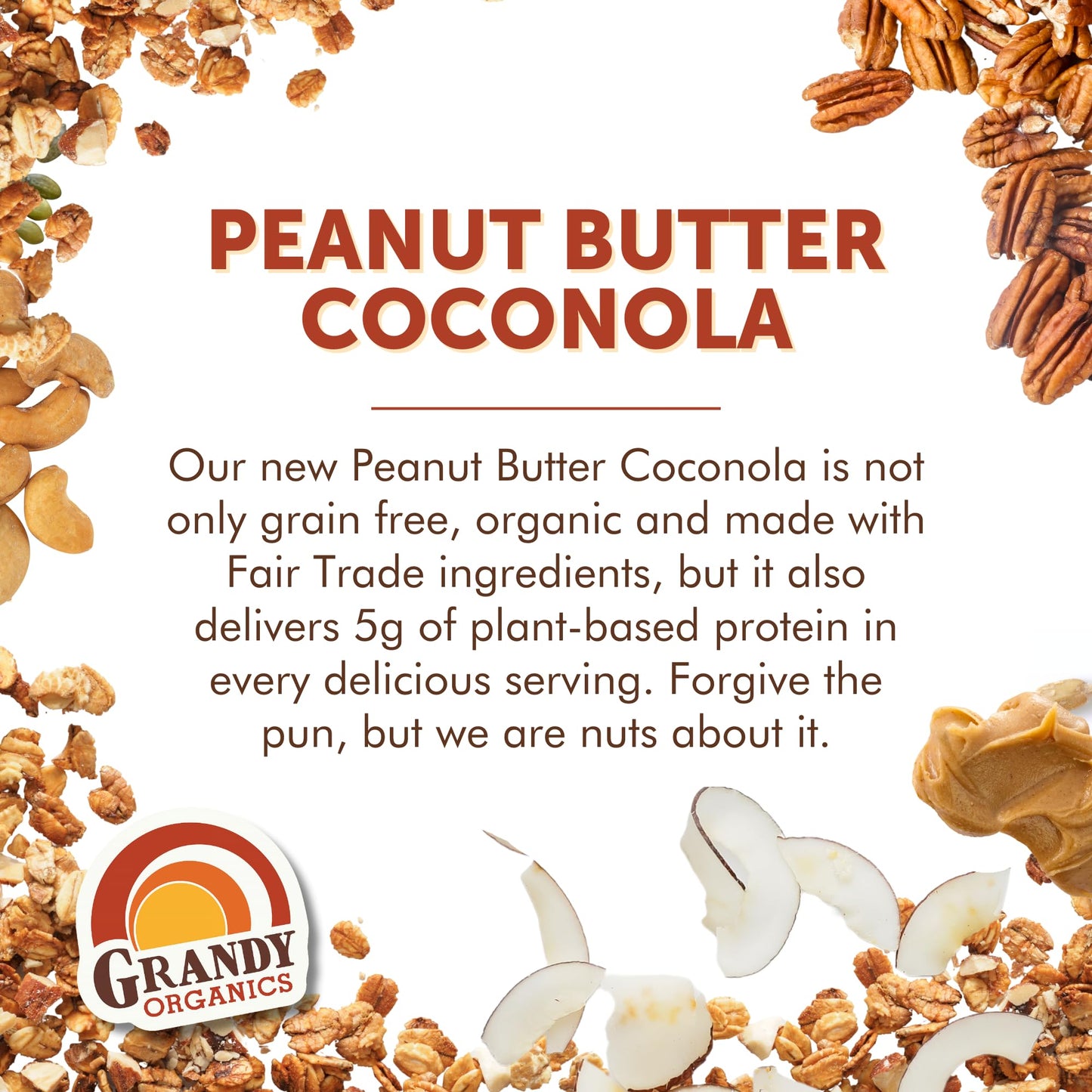 Organic Peanut Butter Coconola Granola Snack