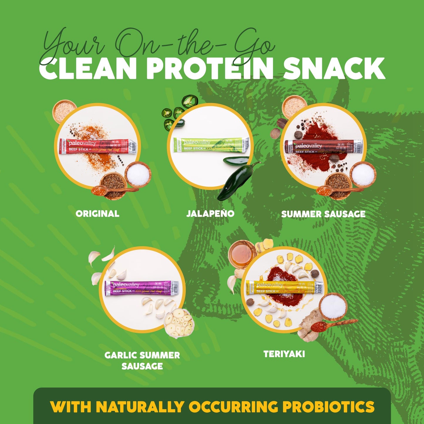 Grass Fed Beef Snack Sticks High Protein