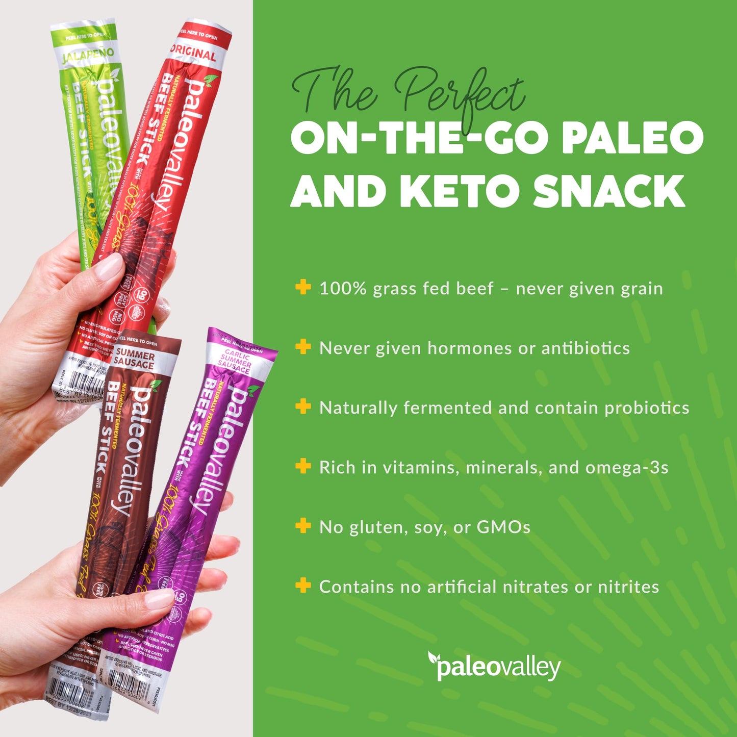 Grass Fed Beef Snack Sticks High Protein