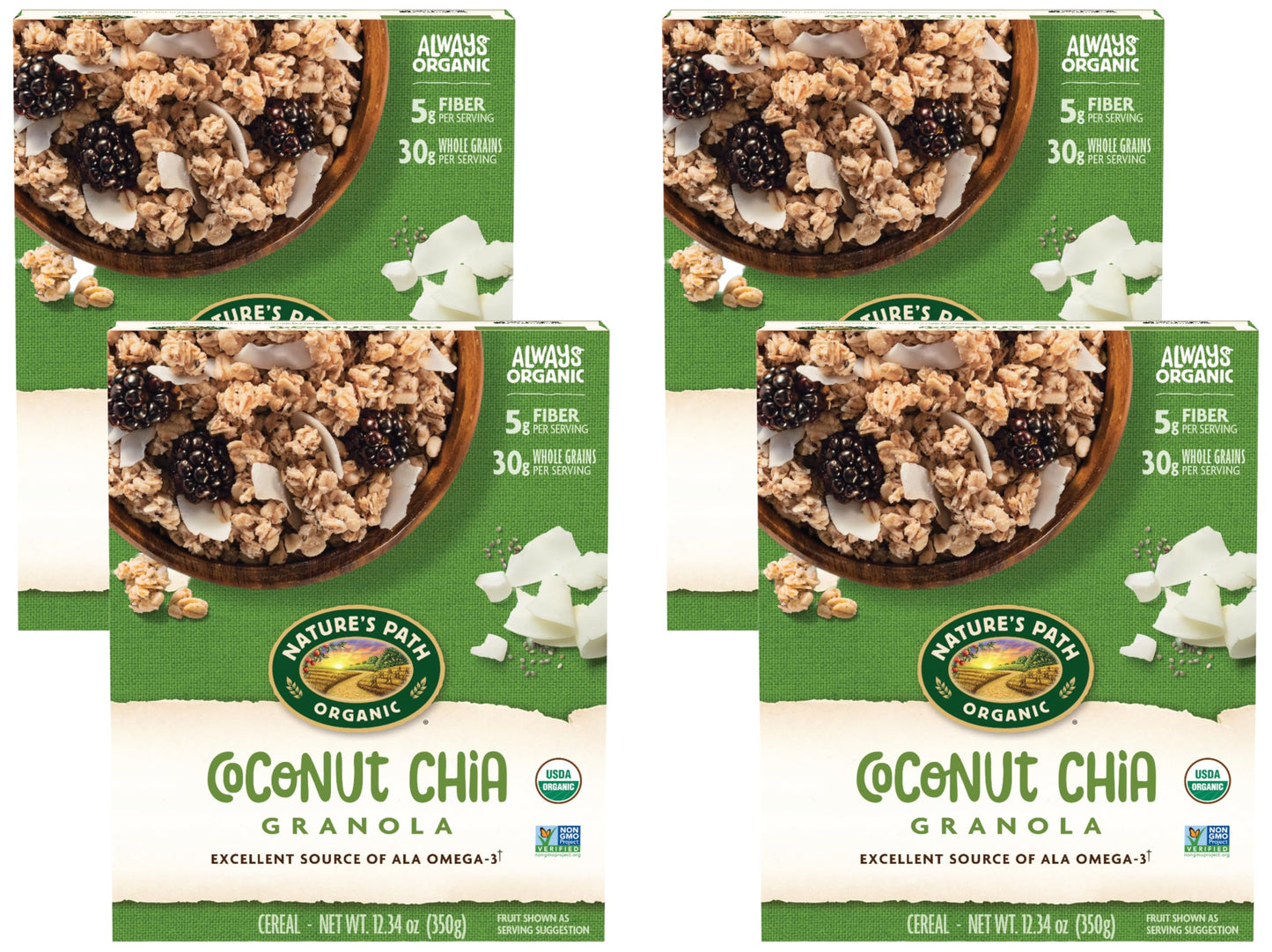 Organic Granola – Natural Breakfast Snack